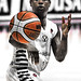Andre Collins Photo 36