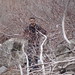 Sarah Bushman Photo 20