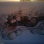 Bill Cody Photo 21