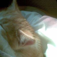 Tabitha Parker Photo 10