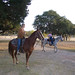 Cheryl Frederick Photo 37