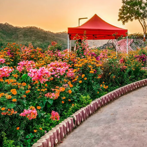 Pankaj Deshmukh Photo 8