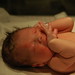 Vincent Bradley Photo 18