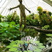 Deborah Walsh Photo 23