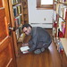 Michael Currey Photo 30