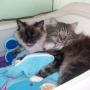 Shirley Watts Photo 34