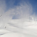 Mary Mattei Photo 14