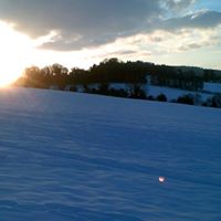Anne Higginbotham Photo 20