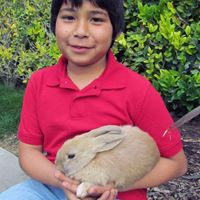 Adolfo Vega Photo 8