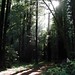 Susan Crowley Photo 32