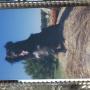 Carolyn Howard Photo 30