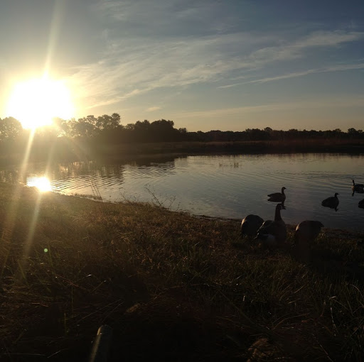 Sam Browning Photo 35
