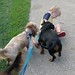 Timothy Link Photo 12