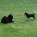 Linda Sealy Photo 19