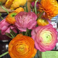 Mary Schmidt Photo 18