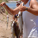 Willie Stringer Photo 9