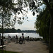 Shelley Parks Photo 33