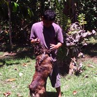 Jaime Guevara Photo 13