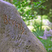 Beverly Stone Photo 28