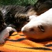 Katina Long Photo 11