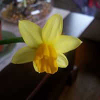 Elizabeth Gee Photo 28