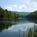 James Trout Photo 32