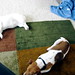 Russell Griffith Photo 14