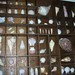 Leah Shell Photo 15