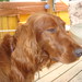 Bert Marley Photo 9