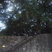 Savannah Stone Photo 14