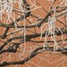 Christopher Hoar Photo 7