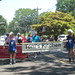 Toni Cook Photo 26