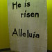 Gloria Muhammad Photo 10