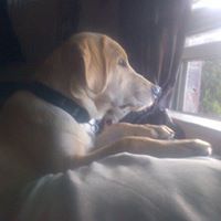 Tracy Wyatt Photo 2