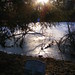 Doris Evans Photo 7