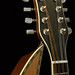 Gregory Harp Photo 19