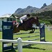 Ellen Gill Photo 26
