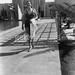 Sandra Shaw Photo 34