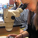 Rebecca Wheeler Photo 9