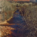 Eileen Mullins Photo 23