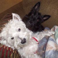 Debra Kiser Photo 10