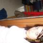 Kristin Cummins Photo 19