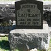 Robert Cathcart Photo 33