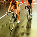 Jan Fast Photo 7