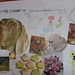 Judy Moody Photo 42