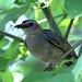 Terry Gray Photo 36