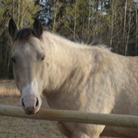 Brian Curtis Photo 22