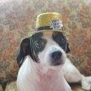 Cynthia Mullis Photo 10