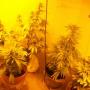 Kenneth Ross Photo 48