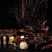 Donna Garrison Photo 9